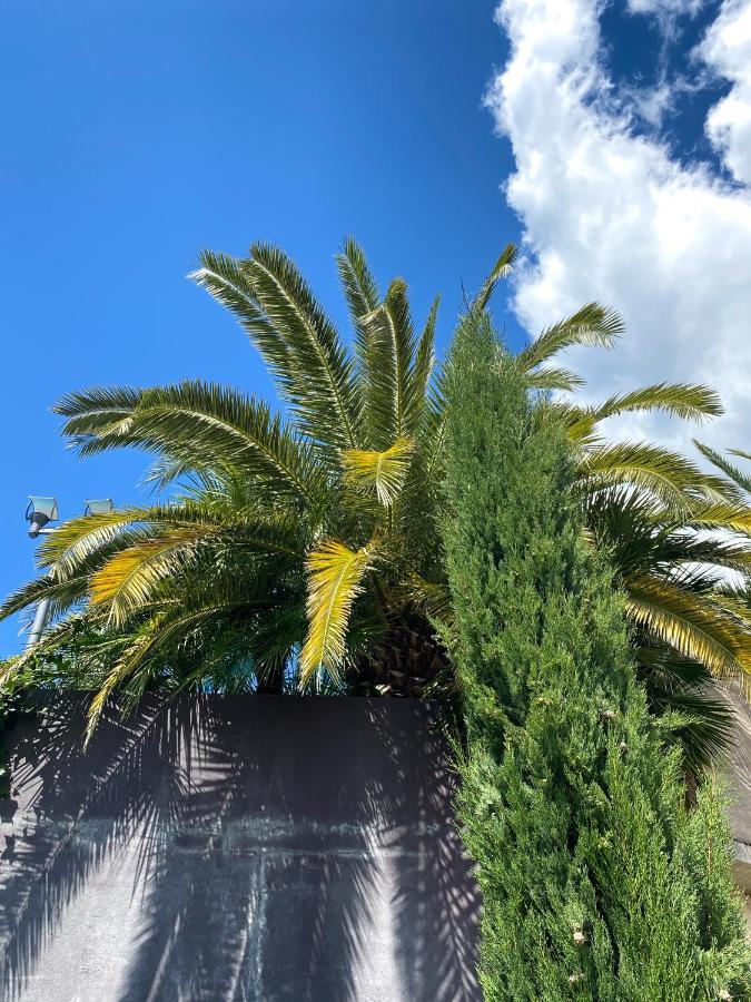Calma Bungalows Portorož Kültér fotó